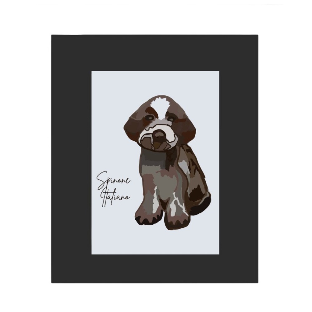 Spinone Italiano Portriat